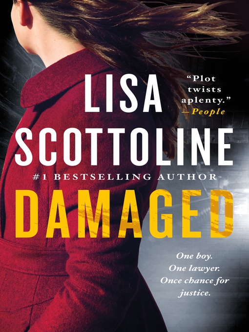 Title details for Damaged by Lisa Scottoline - Wait list